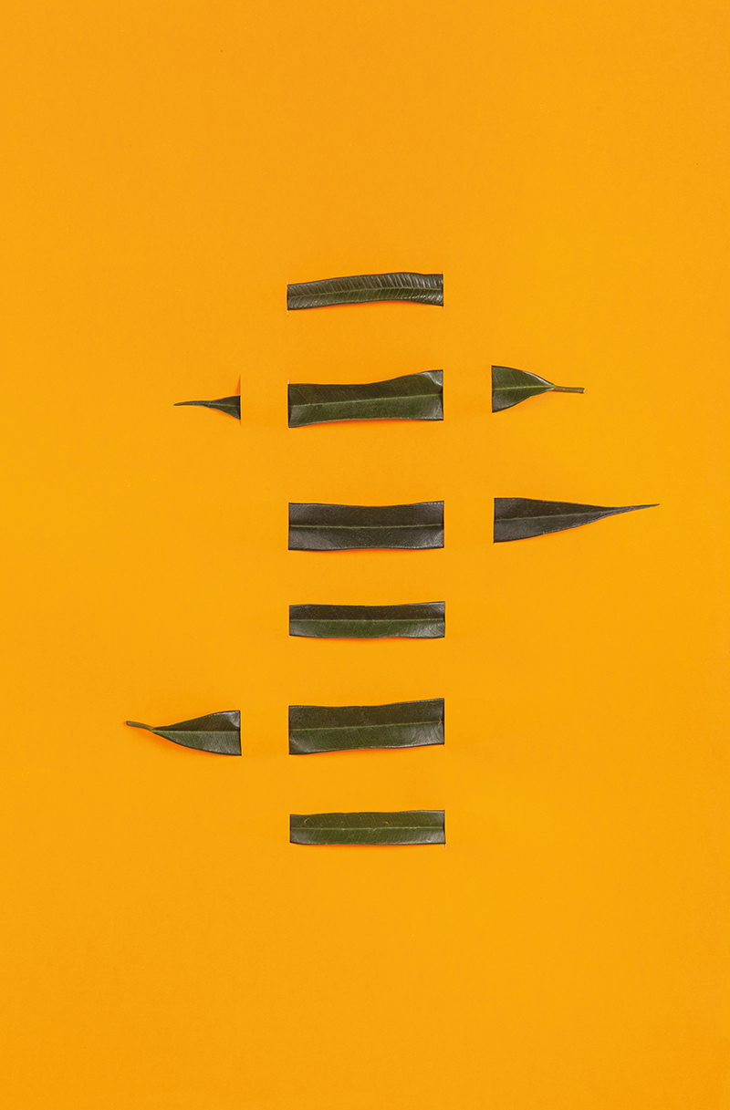 160607_Orange 160607_Orange