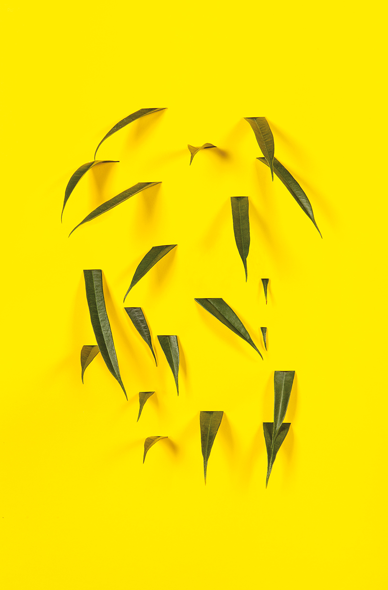 160607_Yellow 160607_Yellow