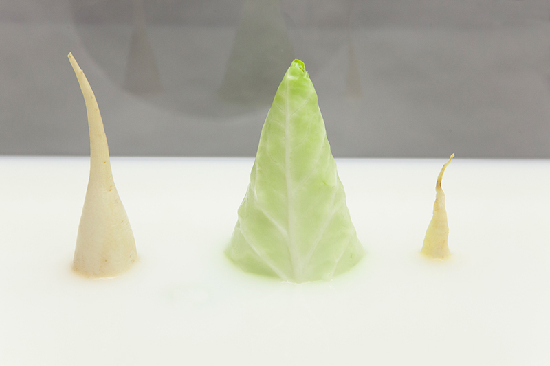 130915liquefiedWhite_still4