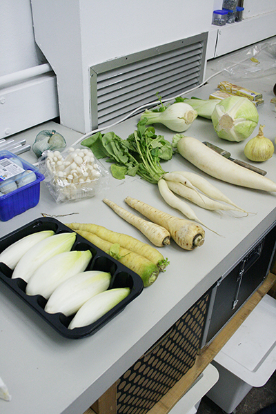 Liquefied_White_process3