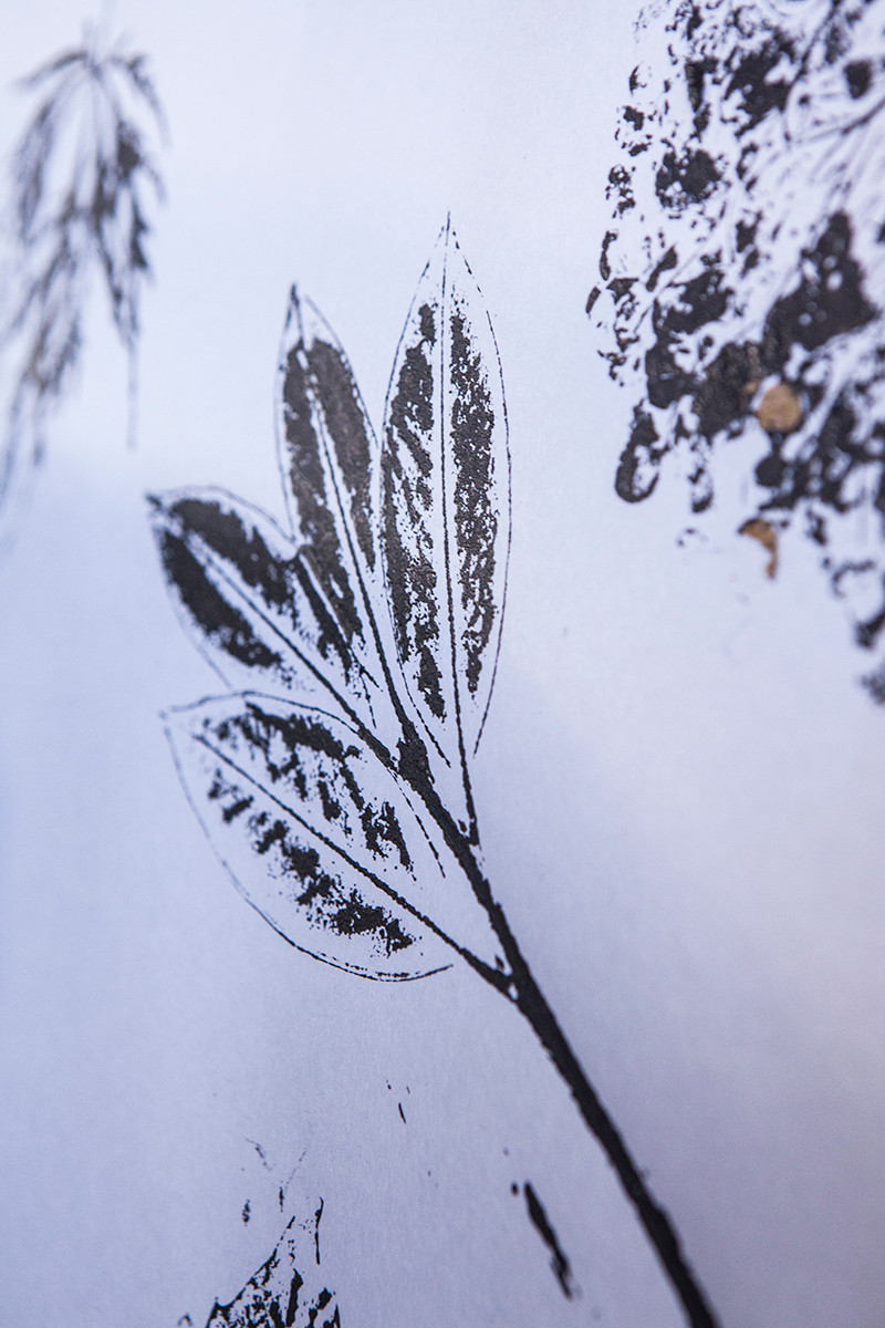 Plant_Printer_10 Plant_Printer_10