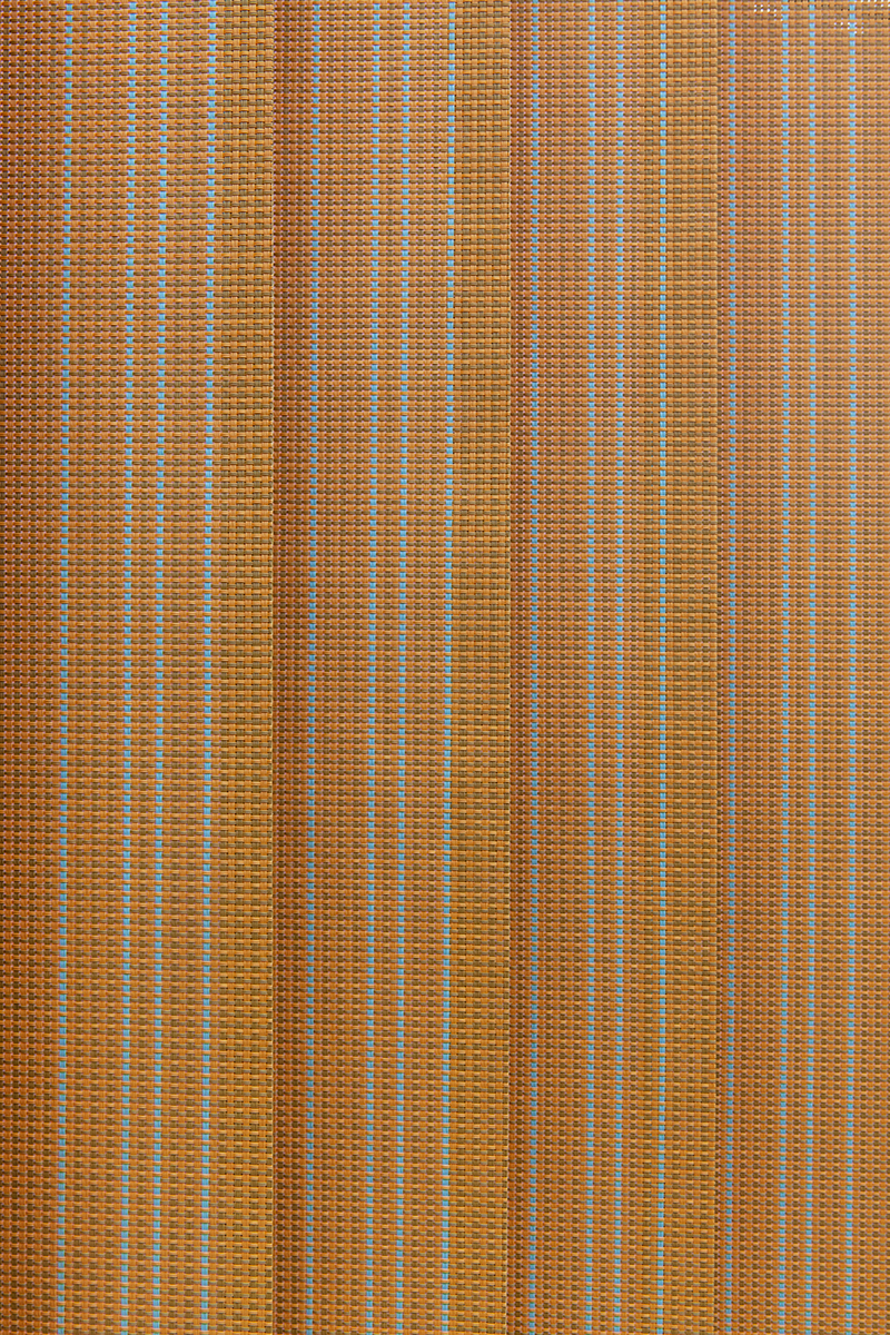 Vertisol_29